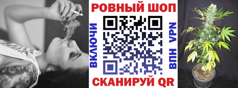  COCAIN Славгород