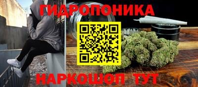гидропоника Кингисепп