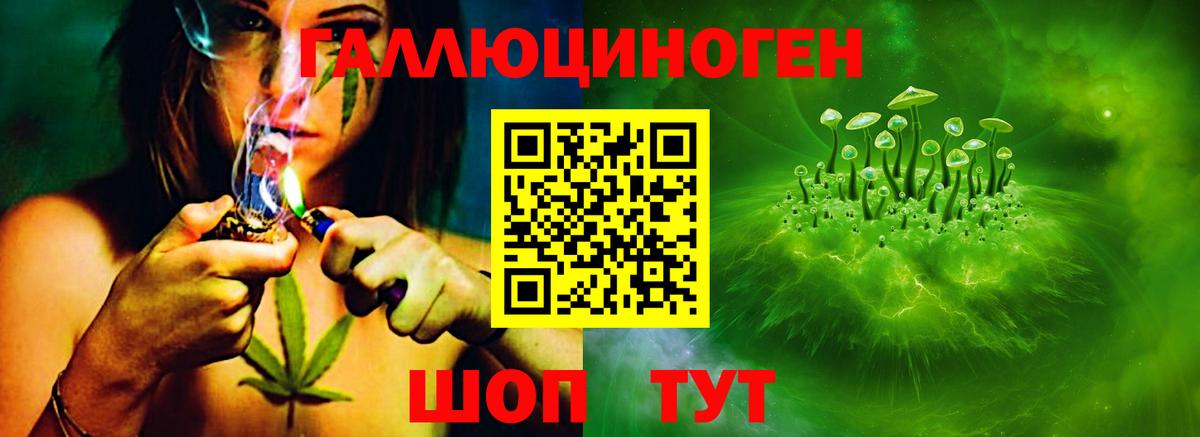 Галлюциногенные грибы ЛСД Славгород