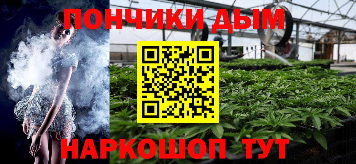 Бошки марихуана марихуана Славгород